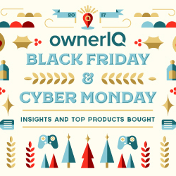 Black Friday Infographic Cover